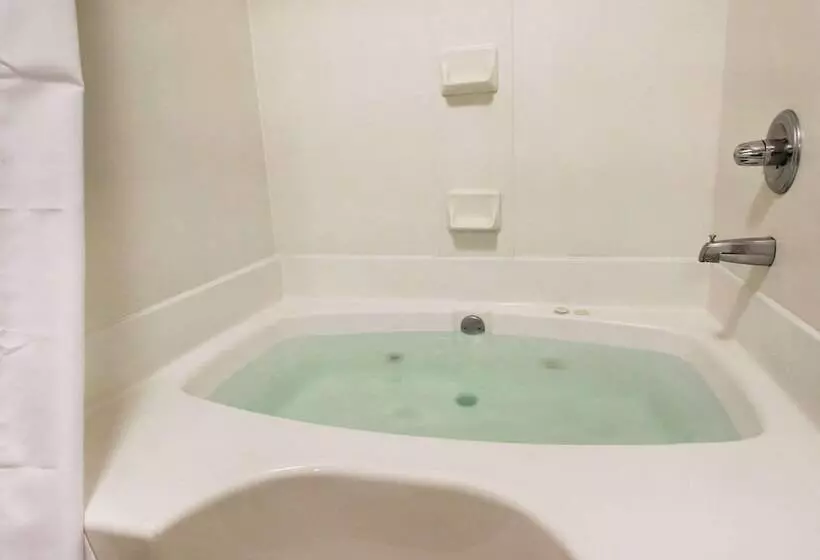 Отель Columbia Inn & Suites