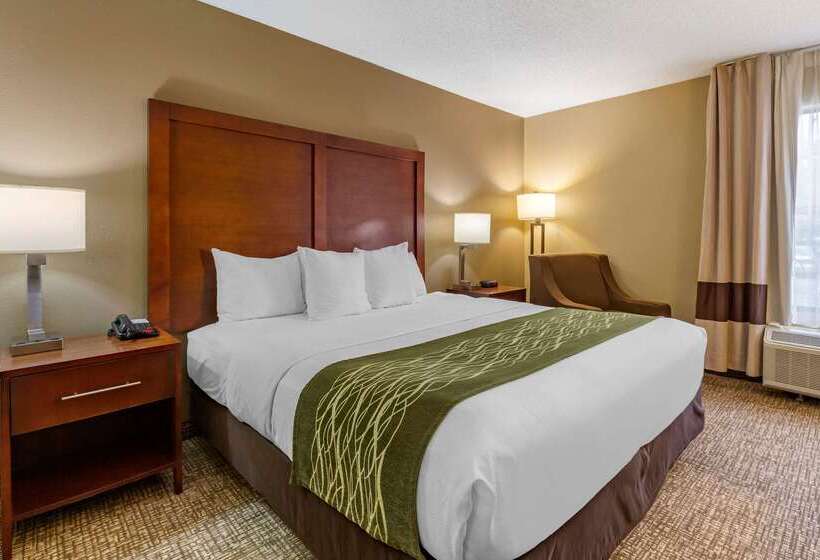 Hotel Clarion Pointe Apex Holly Springs