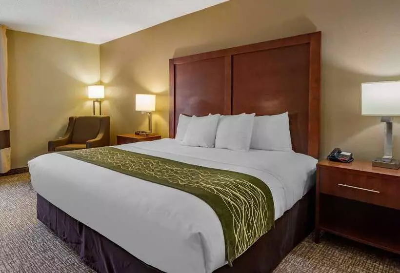 هتل Clarion Pointe Apex Holly Springs