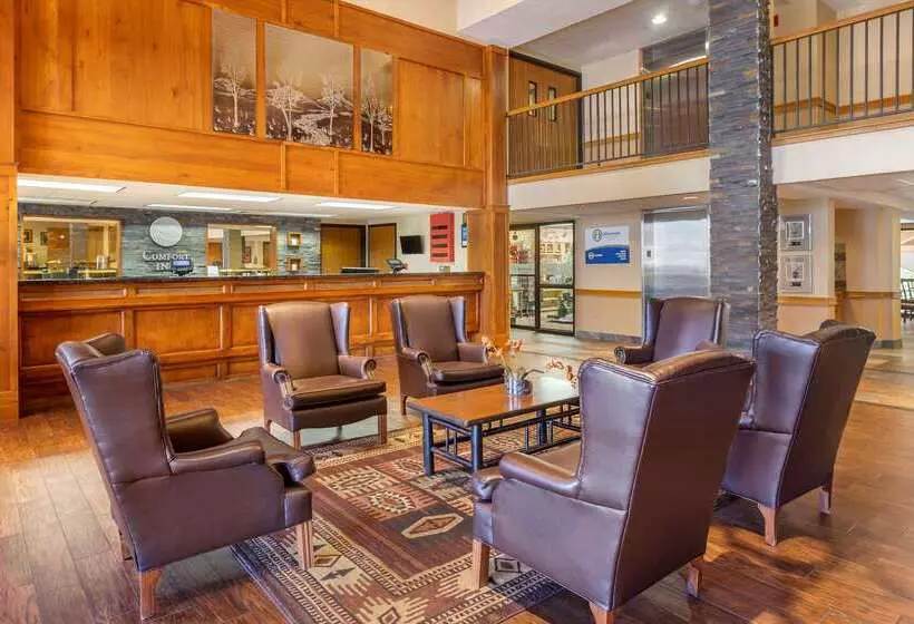 هتل Comfort Inn At Thousand Hills