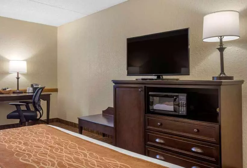 هتل Comfort Inn At Thousand Hills