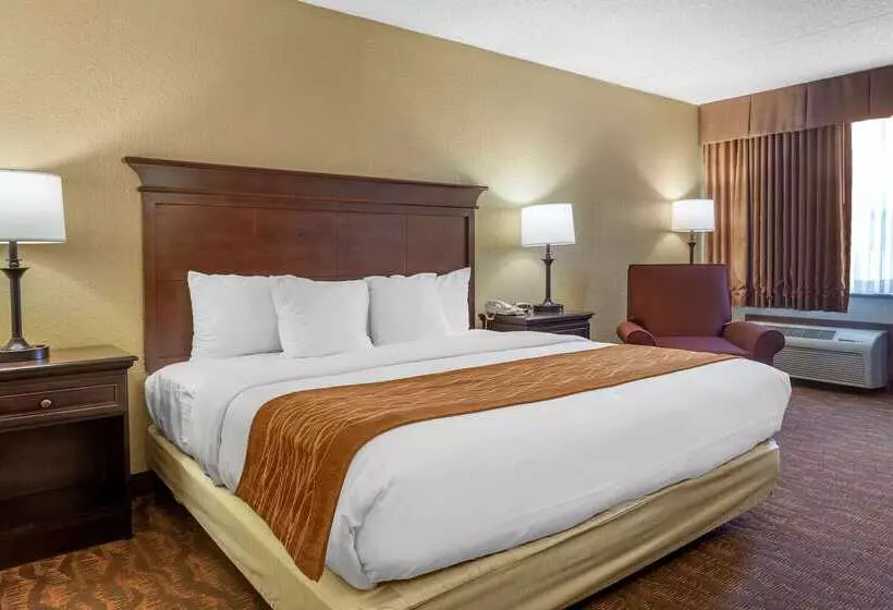 هتل Comfort Inn At Thousand Hills