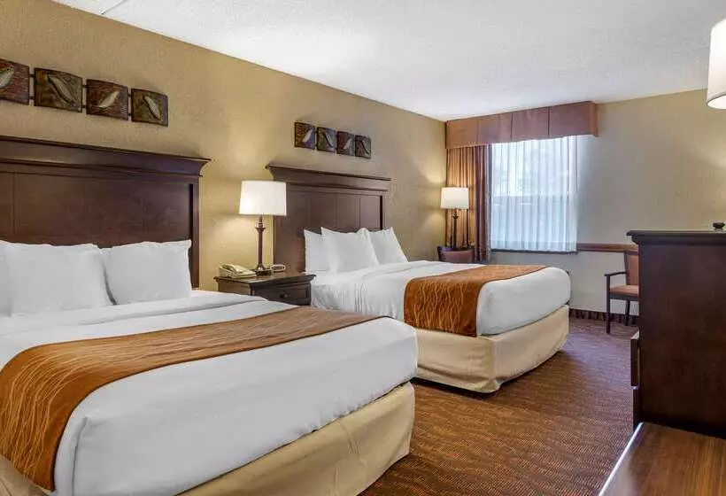 هتل Comfort Inn At Thousand Hills