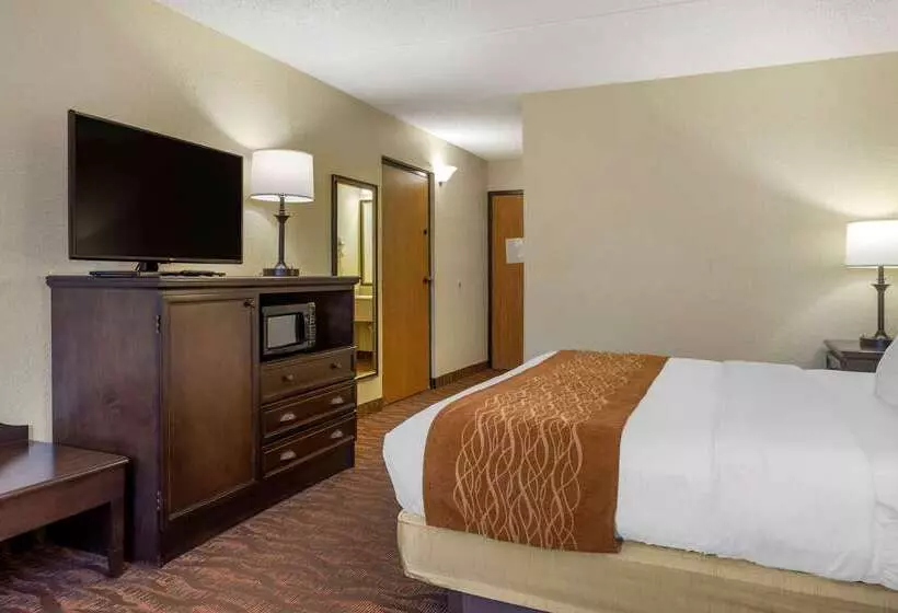 هتل Comfort Inn At Thousand Hills