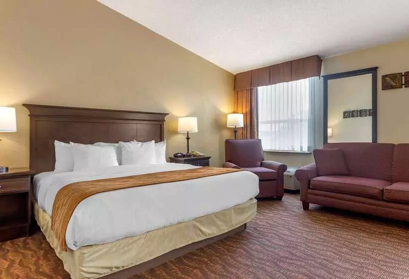 هتل Comfort Inn At Thousand Hills