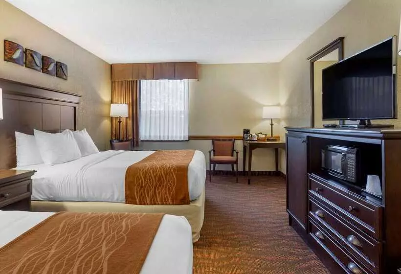 هتل Comfort Inn At Thousand Hills