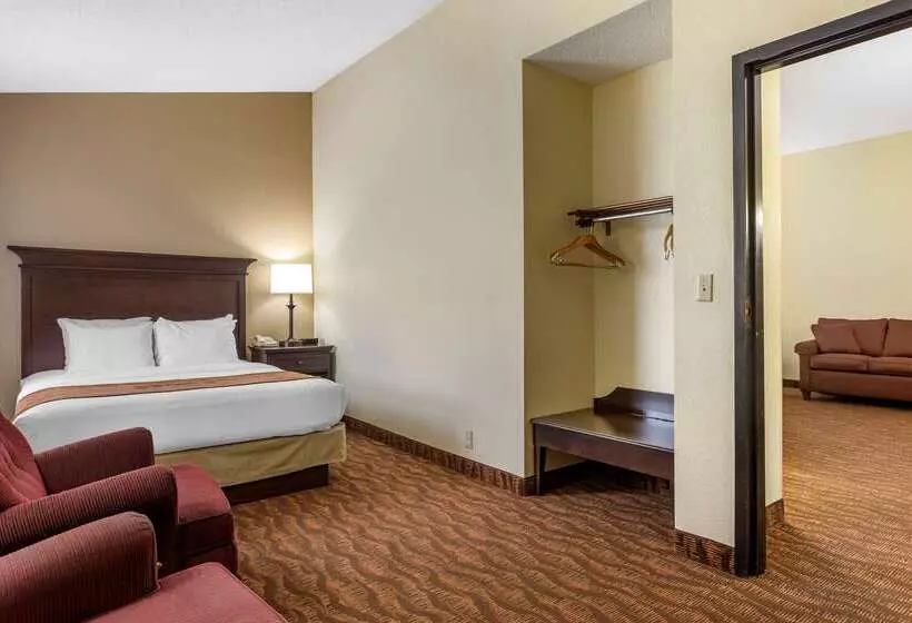 هتل Comfort Inn At Thousand Hills