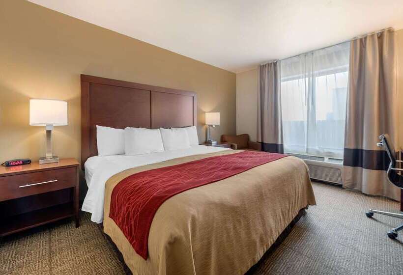 酒店 Comfort Inn Limon