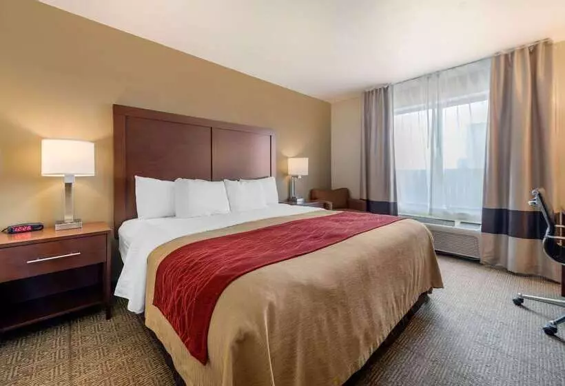 Отель Comfort Inn Limon