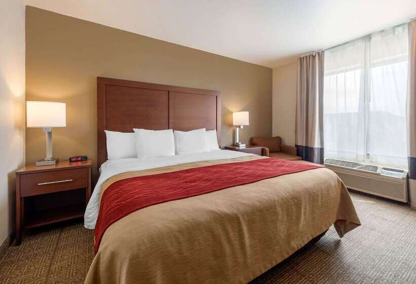 酒店 Comfort Inn Limon