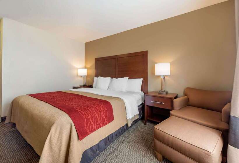 酒店 Comfort Inn Limon