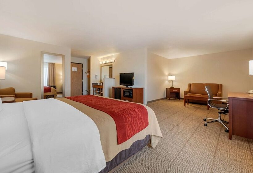 酒店 Comfort Inn Limon