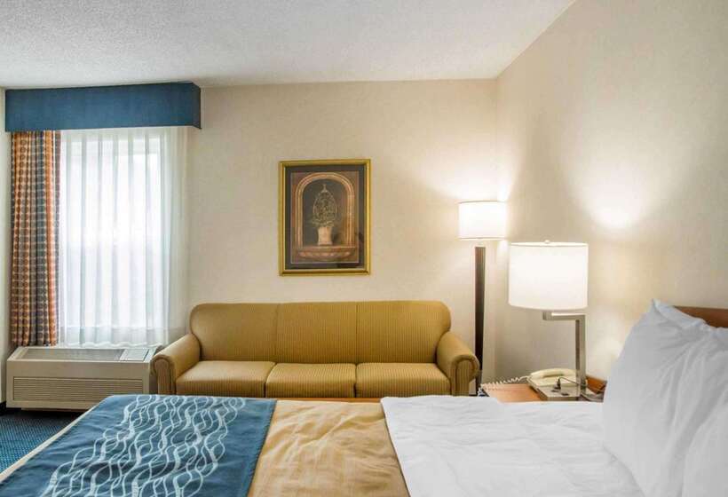 Отель Comfort Inn