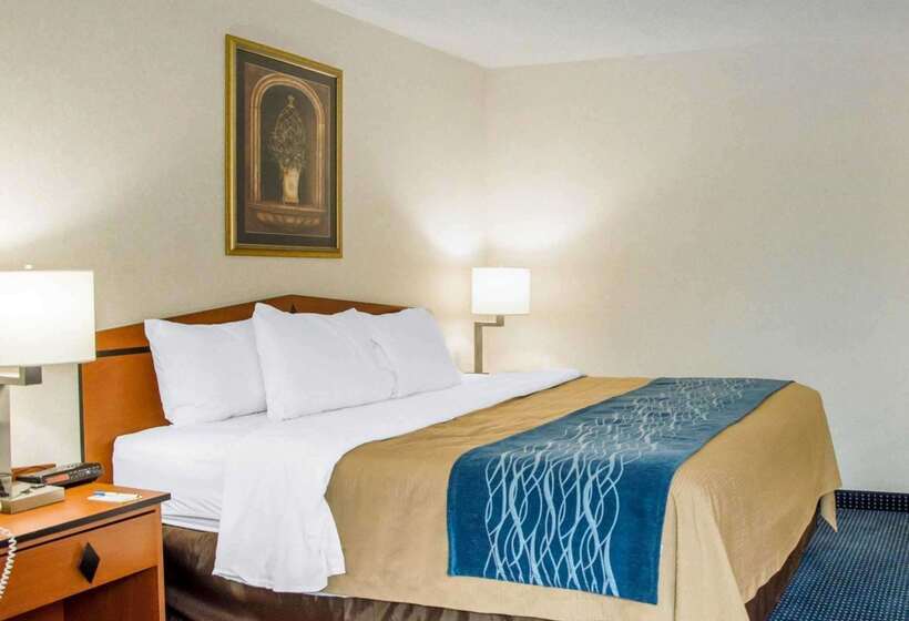 Отель Comfort Inn