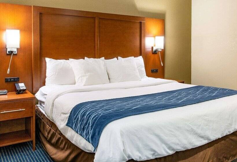 Отель Comfort Inn