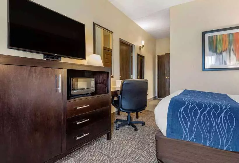 酒店 Comfort Inn & Suites Butler