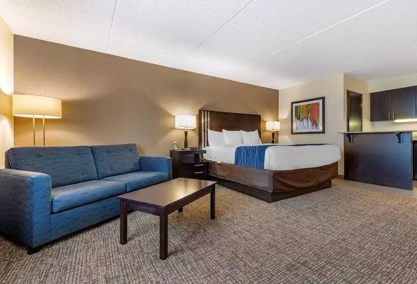 酒店 Comfort Inn & Suites Butler