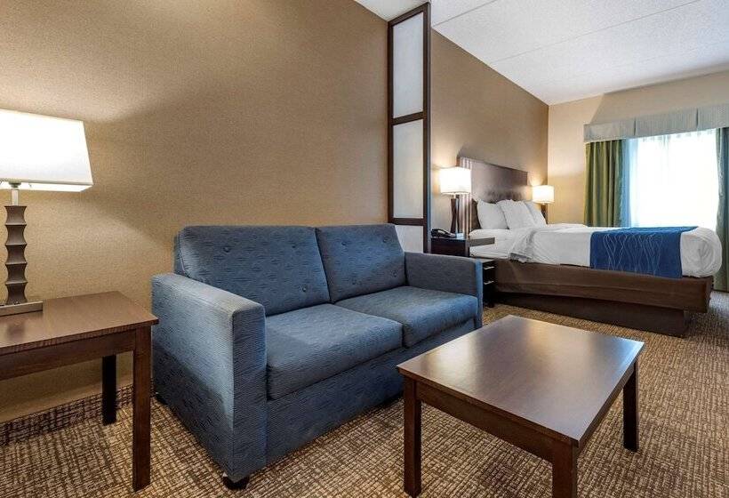 호텔 Comfort Inn & Suites Butler