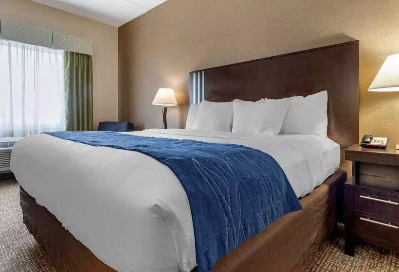 酒店 Comfort Inn & Suites Butler