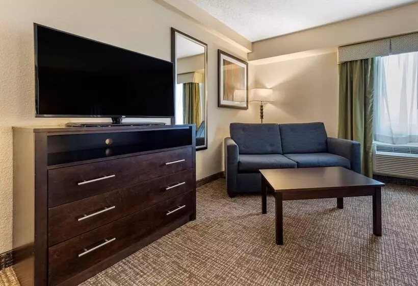 酒店 Comfort Inn & Suites Butler