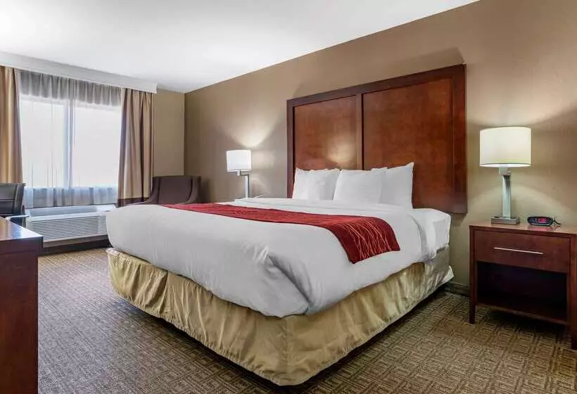 호텔 Comfort Inn & Suites Leeds I20