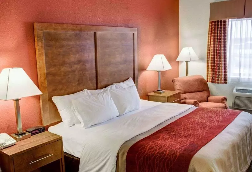 ホテル Comfort Inn & Suites North Greenfield