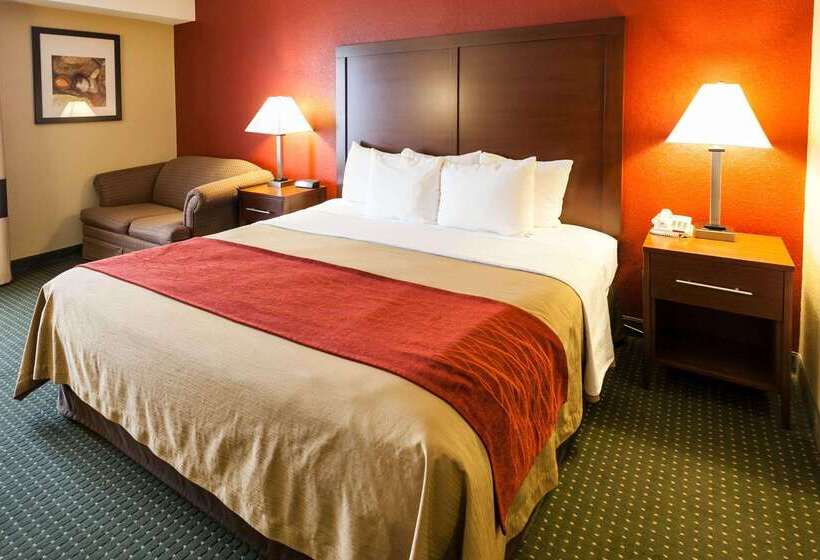 酒店 Comfort Inn & Suites Statesville  Mooresville