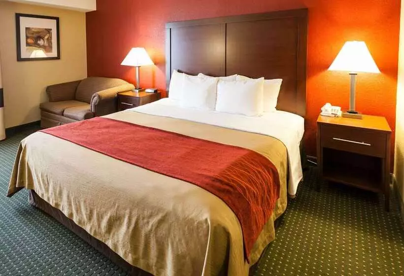 هتل Comfort Inn & Suites Statesville Mooresville