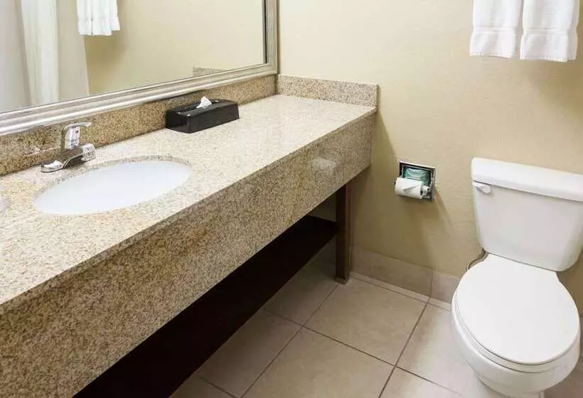 هتل Comfort Inn & Suites Statesville Mooresville