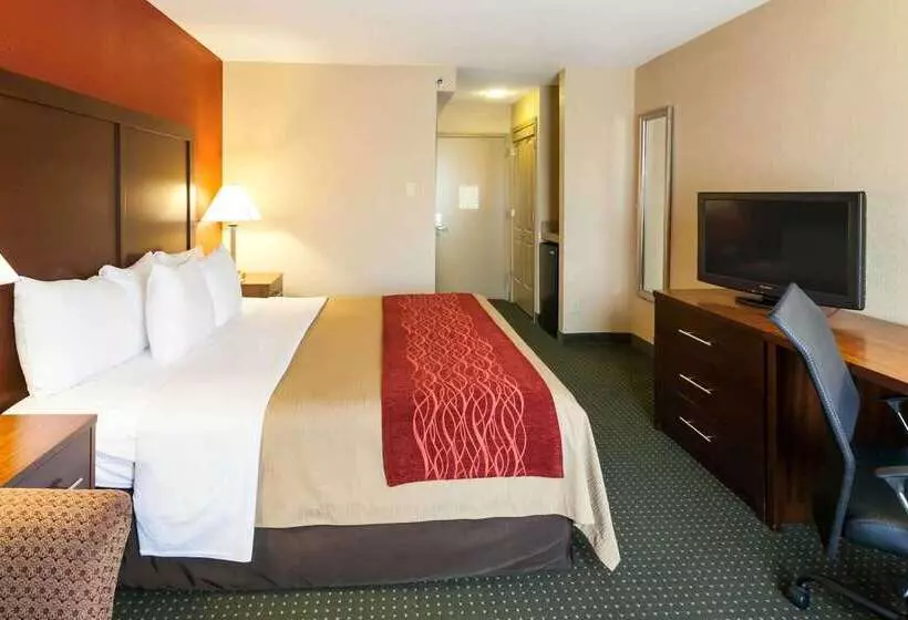 هتل Comfort Inn & Suites Statesville Mooresville