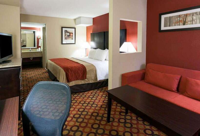 酒店 Comfort Inn & Suites Statesville  Mooresville