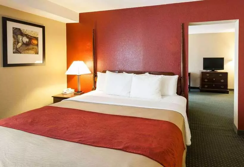 هتل Comfort Inn & Suites Statesville Mooresville