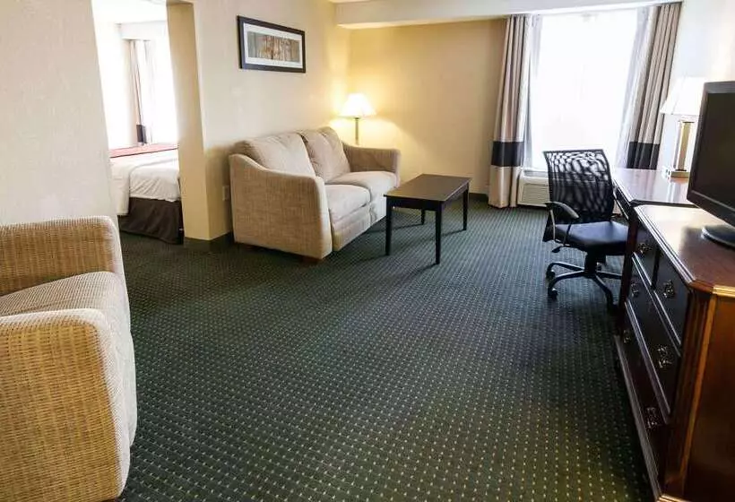 هتل Comfort Inn & Suites Statesville Mooresville