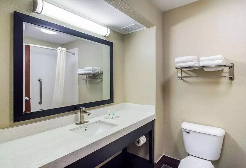 Hotel Quality Inn & Suites Canton, Ga