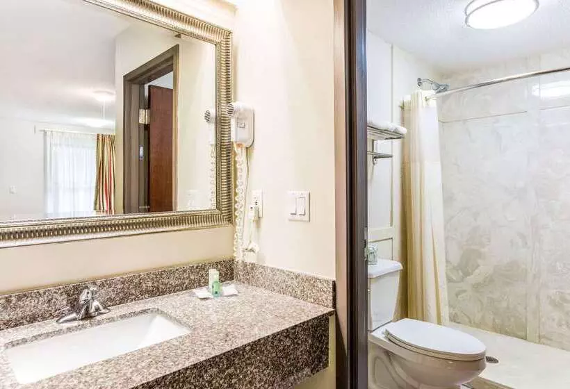 酒店 Quality Inn Russellville