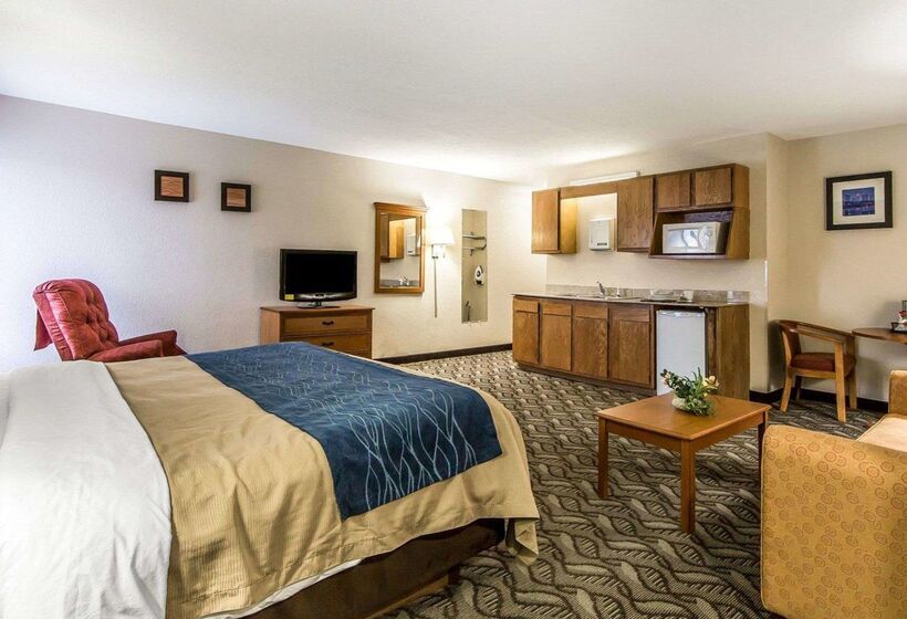 호텔 Quality Inn & Suites