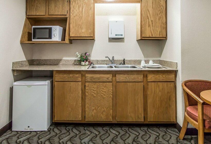 호텔 Quality Inn & Suites