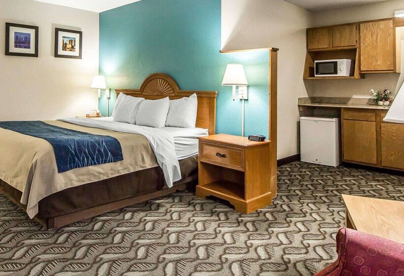 호텔 Quality Inn & Suites