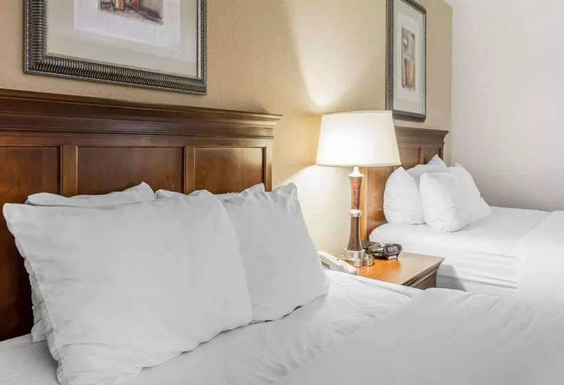 Szálloda Quality Inn & Suites