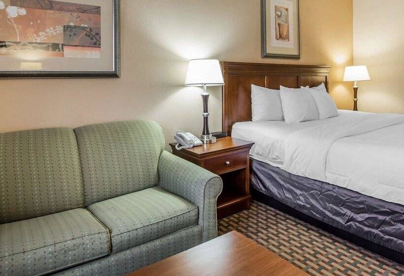 호텔 Quality Inn & Suites