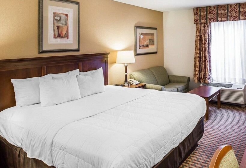 호텔 Quality Inn & Suites