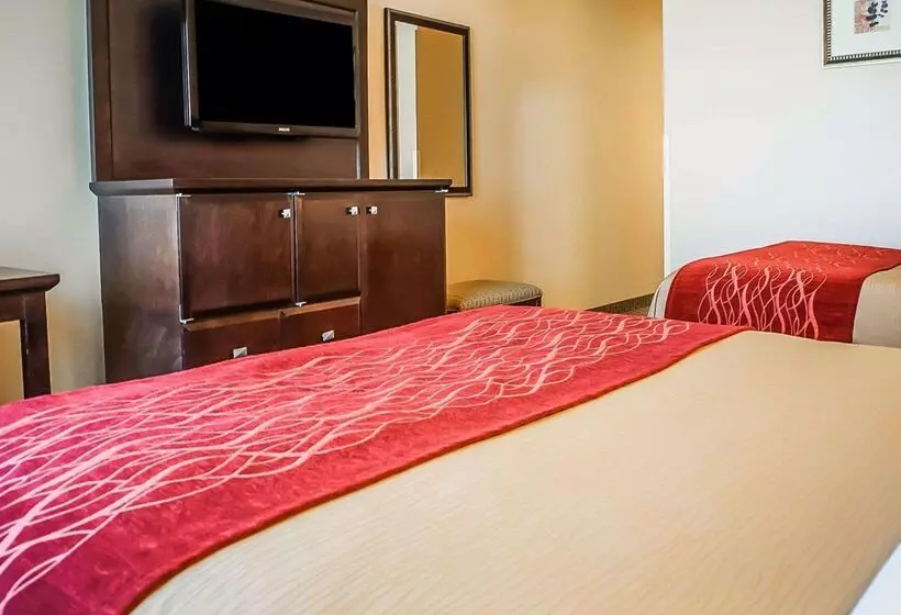 酒店 Quality Inn & Suites