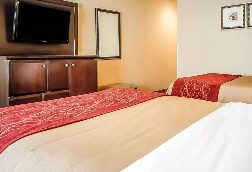 酒店 Quality Inn & Suites