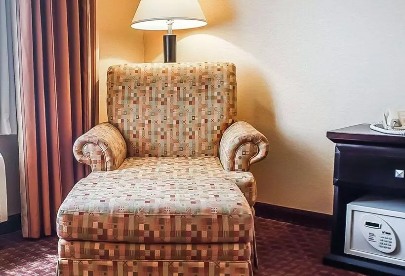 酒店 Quality Inn & Suites