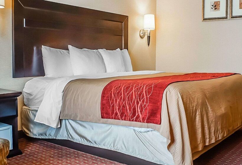 فندق Quality Inn & Suites