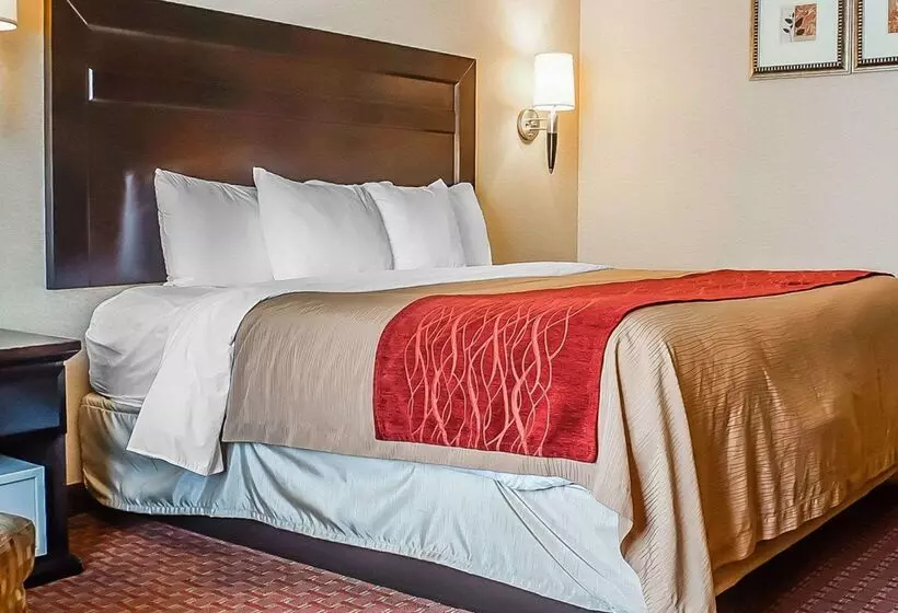 酒店 Quality Inn & Suites