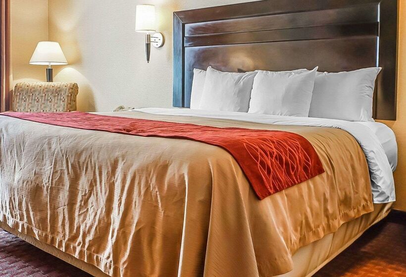 فندق Quality Inn & Suites