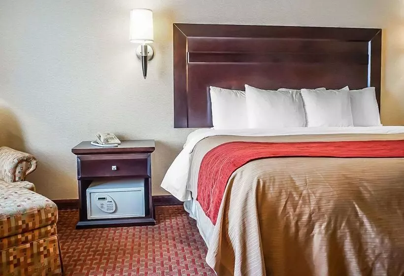 酒店 Quality Inn & Suites