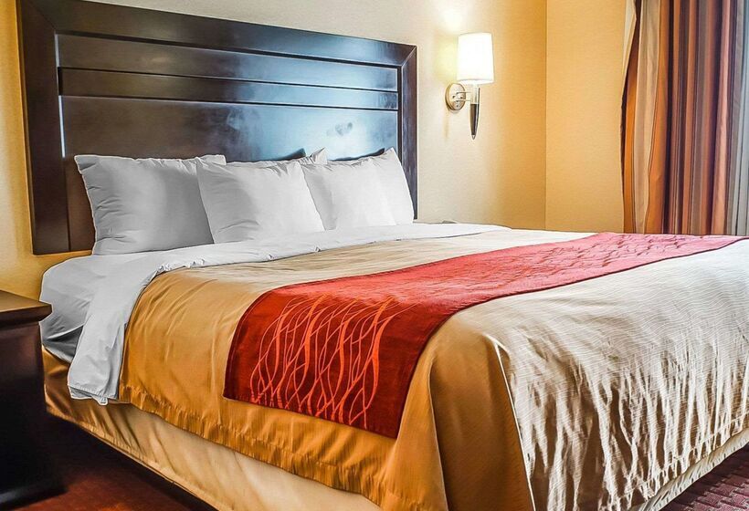 فندق Quality Inn & Suites