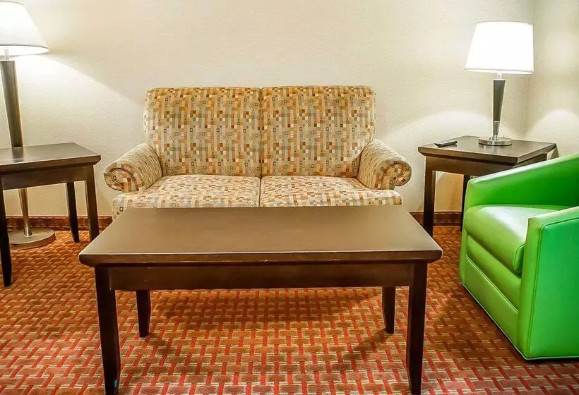 酒店 Quality Inn & Suites